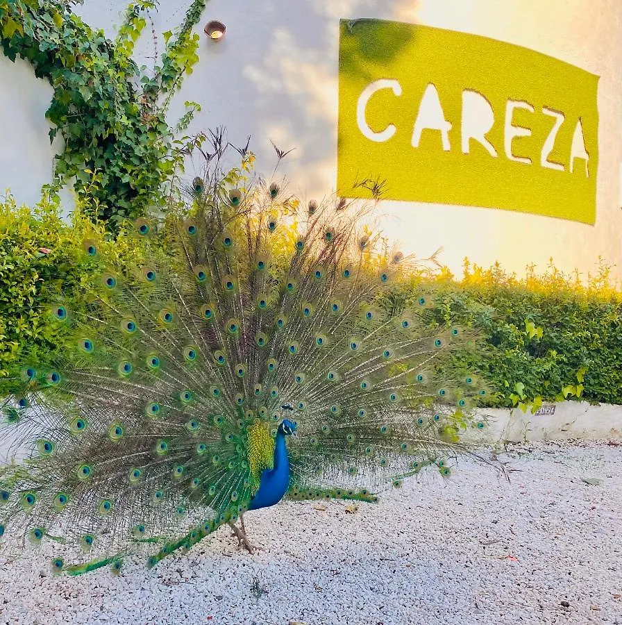 Hotel La Careza De Mijas - Adults Only